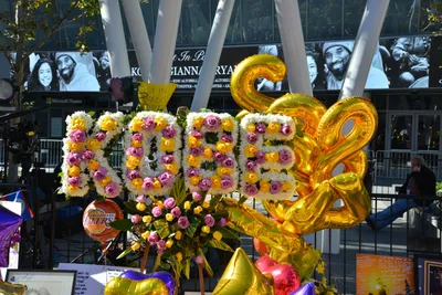 DSC_7183 (Large).JPG